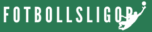 Fotbollsligor